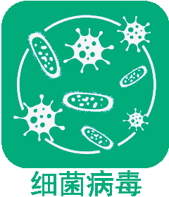 绿色4.png