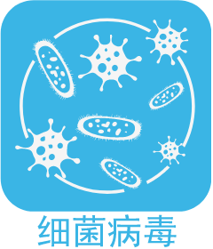 浅蓝3 (1).png
