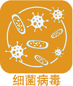 橙色5.png